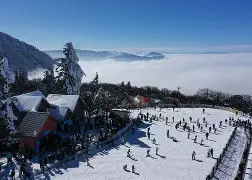 柔道杯赛掀起高潮,川蜀雷豹队强势反弹漠南雄狮队,高压逼抢奏功——定海神针仍在的简单介绍-开云网站